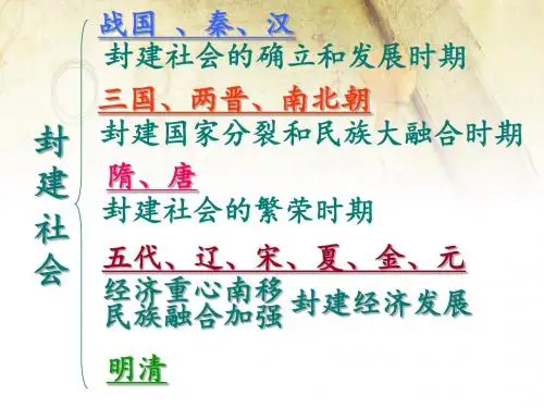 第9课 民族政权并立的时代
