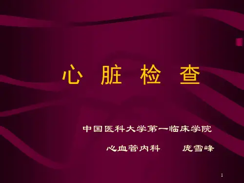 心脏检查PPT课件