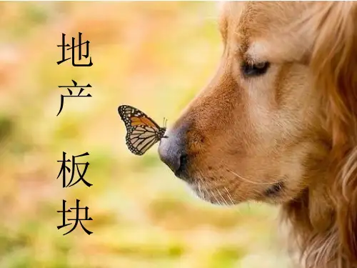 房地产板块.pptx