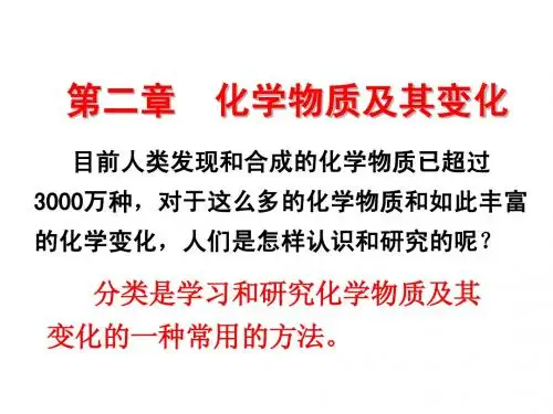 高一化学必修一物质的分类(新课)