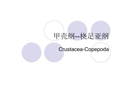 第二篇第四章 桡足类