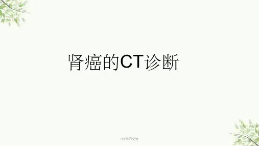 肾癌的CT表现课件