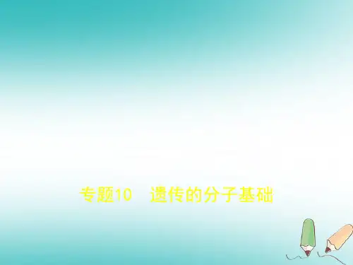 2019版高考生物一轮(全国3卷B版)课件 专题10 遗传的分子基础