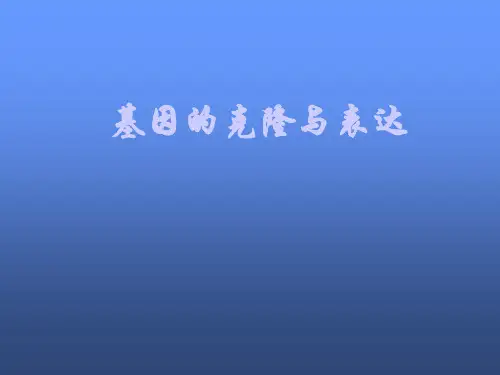 基因的克隆与表达ppt课件