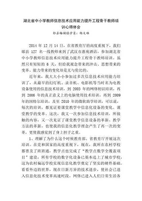 湖北省信息技术骨干教师培训心得体会