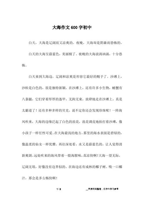 大海作文600字初中