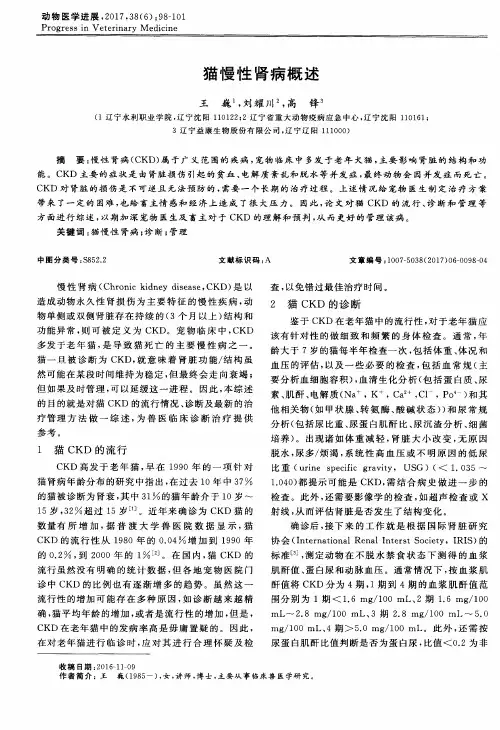 猫慢性肾病概述