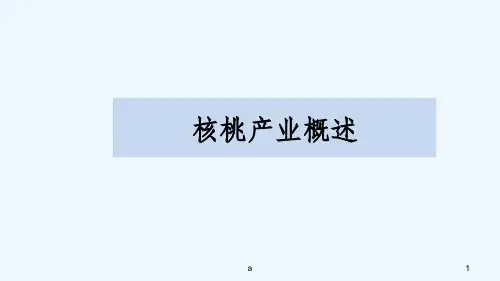 核桃产业概述