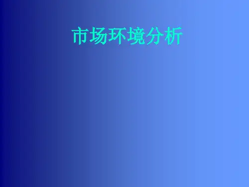 市场环境分析