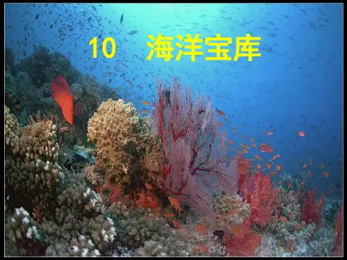 粤教版小六科学下册10-海洋宝库