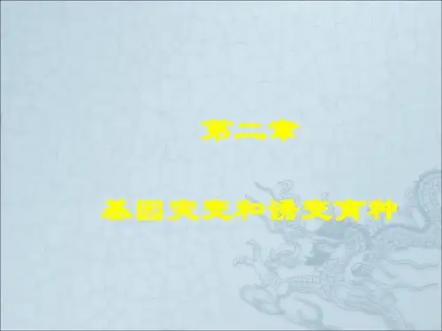 微生物遗传育种课件,基因突变