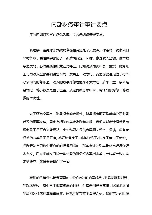 内部财务审计审计要点