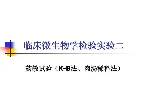 医学微生物学检验实验