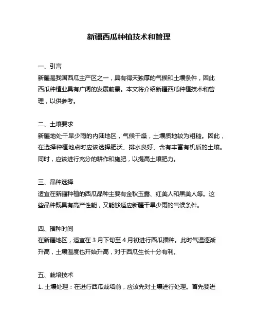 新疆西瓜种植技术和管理