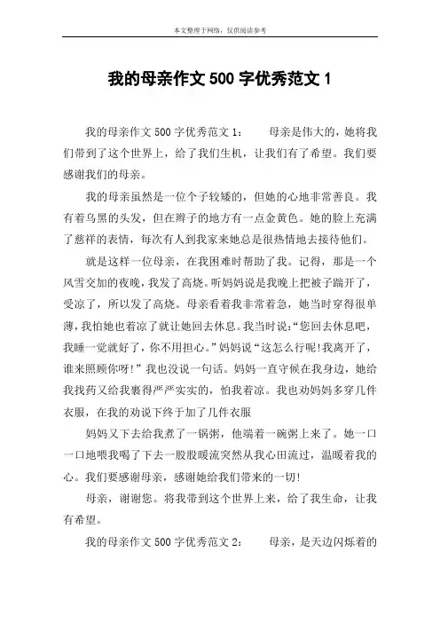 我的母亲作文500字优秀范文1
