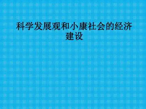 第十课科学发展观和小康社会的经济建设复习课件(新人教版必修一)