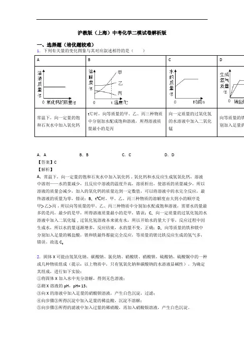 沪教版(上海)中考化学二模试卷解析版