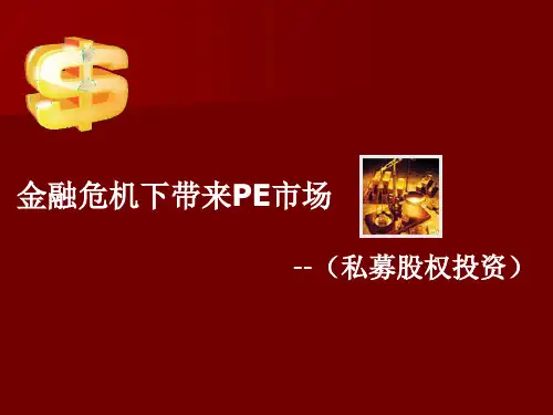私募股权投资_最新PE项目介绍_学习PPT_PPT模板-精品文档