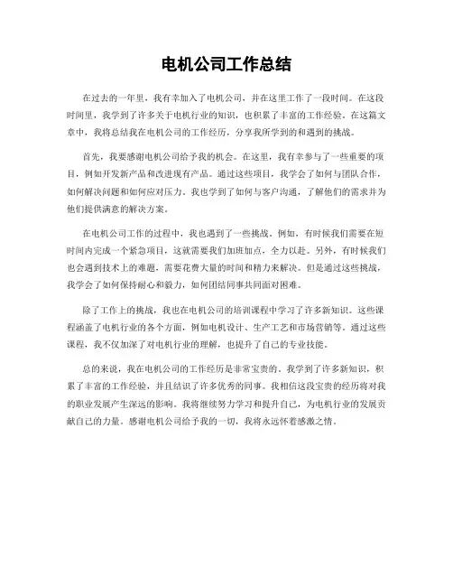 电机公司工作总结