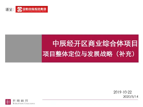 中辰经开区商业综合体项目项目整体定位与发展战略补充