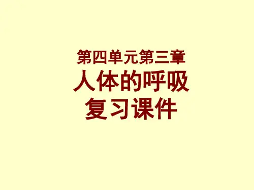 《人体的呼吸》复习用课件(课赛用)