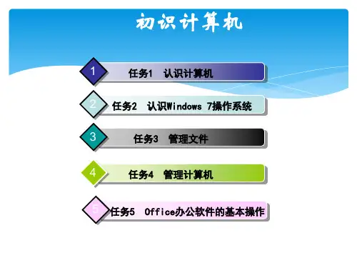 计算机应用基础windows