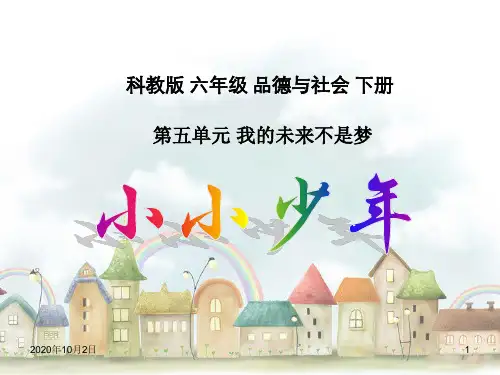 小小少年-(科教版)六年级品德与社会下册PPT课件