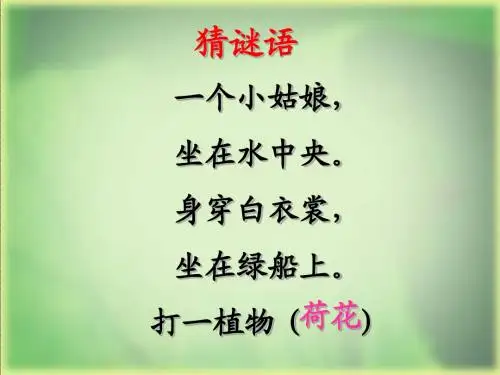 人教版三年级语文下册《荷花》课件PPT