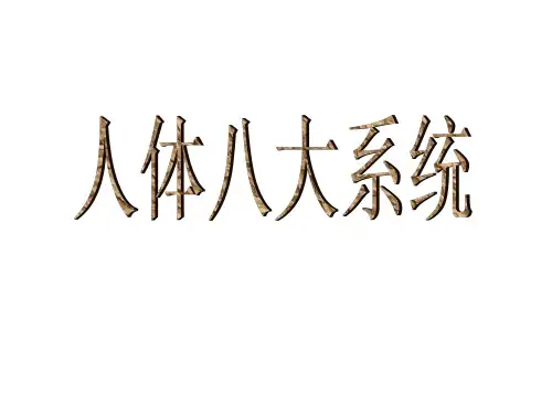 人体八大系统