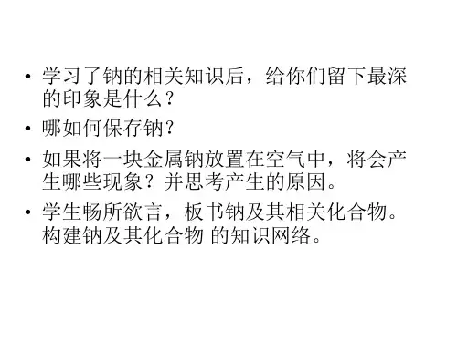 高一化学钠、镁及其化合物(PPT)4-1