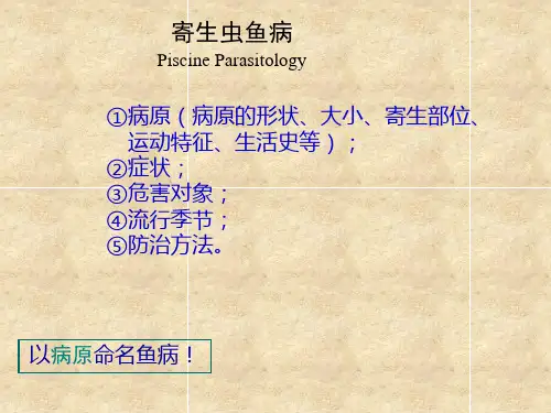 寄生虫鱼病 课件ppt