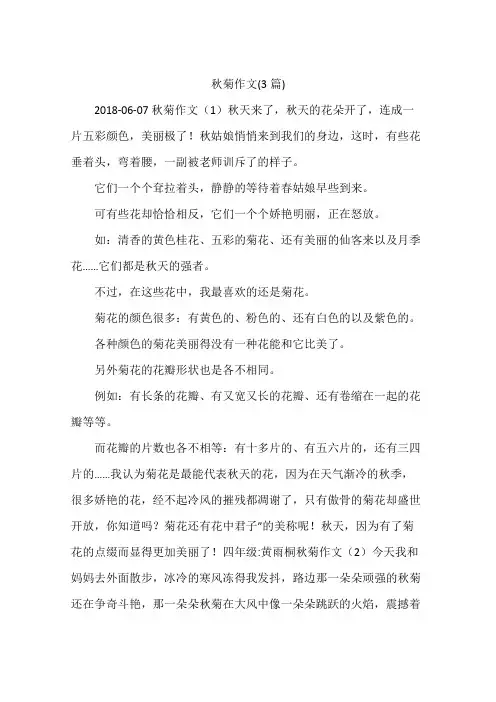 秋菊作文(3篇)