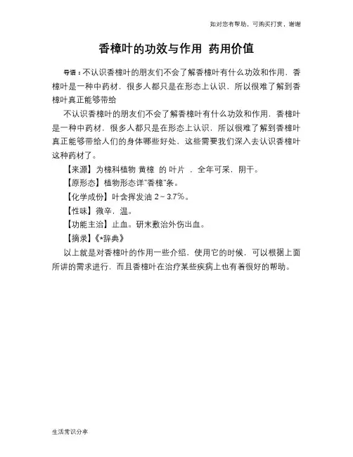 香樟叶的功效与作用 药用价值