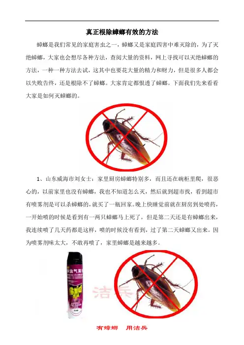 家里放一物绝对没蟑螂之怎样根除蟑螂