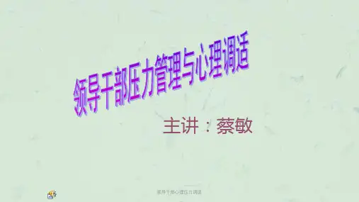 领导干部心理压力调适课件