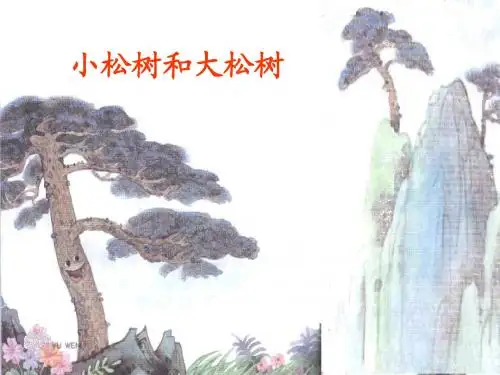 小松树和大松树PPT课件