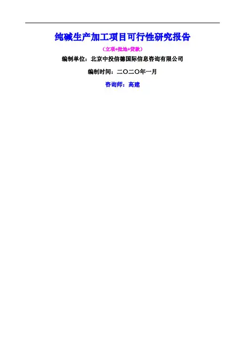 纯碱生产加工项目可行性研究报告