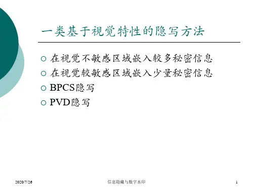 基于视觉特性的隐写与隐写分析