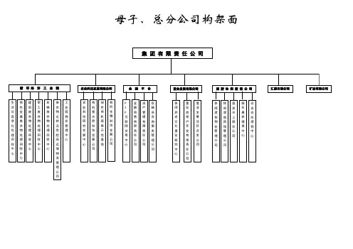 母子总分公司构架图