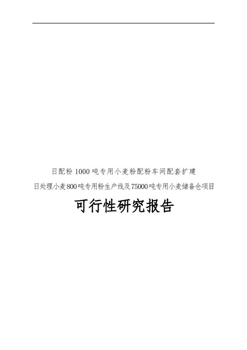 专用小麦粉配粉车间配套扩建及储备仓项目可行性实施报告