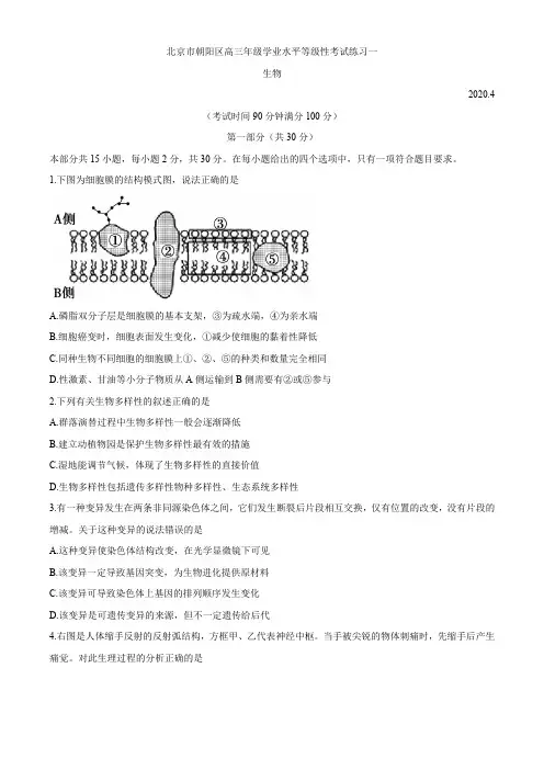 朝阳区2020年高三一模生物试卷(含答案)
