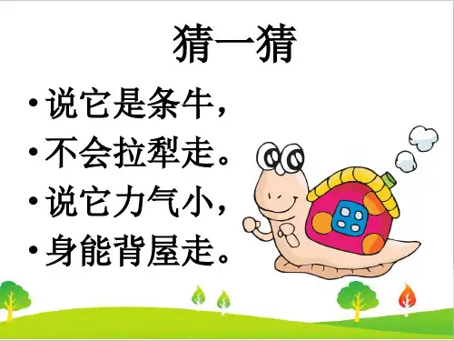 最新教科版三年级科学上册第二单元《蜗牛(一)》教学课件