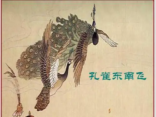 孔雀东南飞(精美详细)