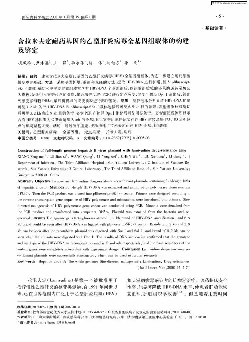 含拉米夫定耐药基因的乙型肝炎病毒全基因组载体的构建及鉴定