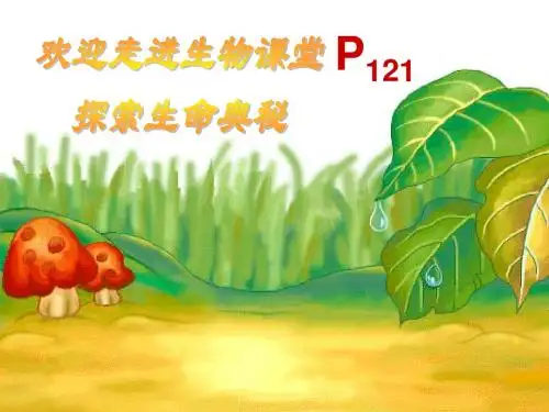 第6章 第3节 细胞的衰老和凋亡