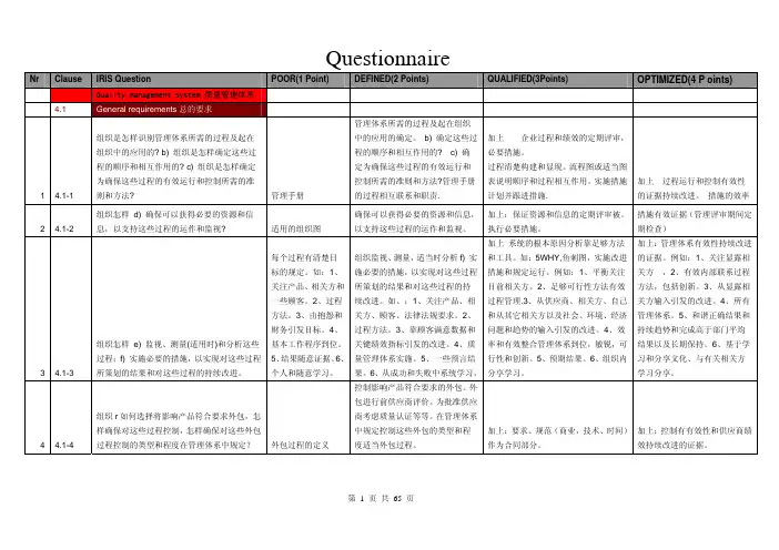 IRIS标准问题(中文)