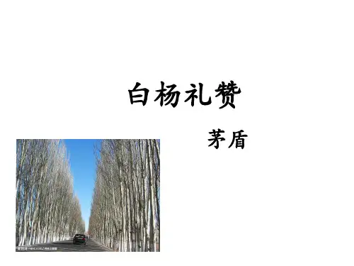 白杨礼赞优秀课件