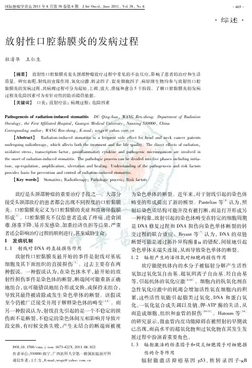 放射性口腔黏膜炎的发病过程