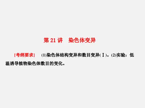 高考生物 一轮复习 生物的变异、育种和进化 第21讲 染色体变异 新人教版