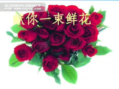 献你一束花ppt课件